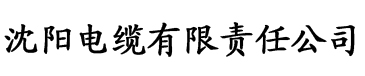 老版黄瓜视频污电缆厂logo